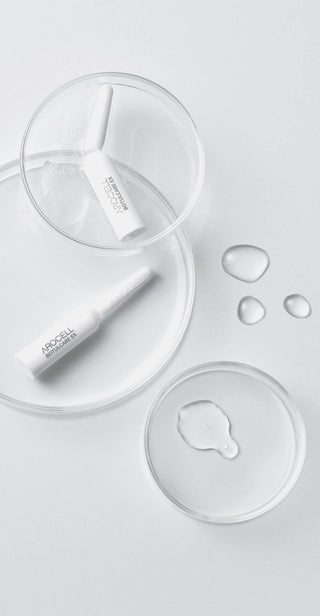 Konzentrate & Seren - Landsberg First Class Aesthetic